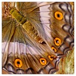 Collection: Metamorpha<br>Print Designs: Sun and Moon Moth<br>Style: Square Chiffon Scarf (50 x50 )