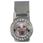 Labrador Retriever Dog Money Clip (CZ)